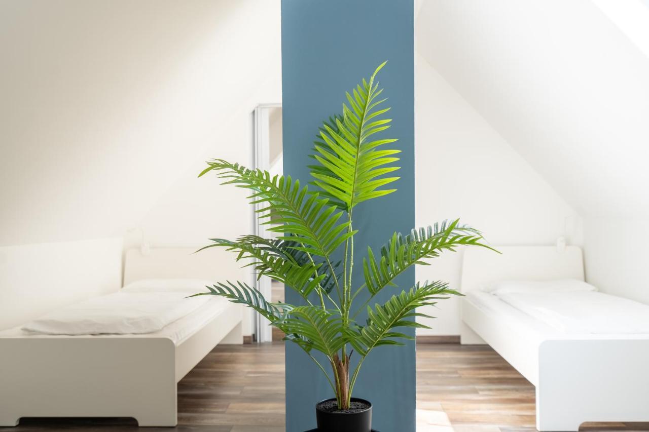 Xxl Superior Apartment 1 - 10 Personen كاستروب روكسل المظهر الخارجي الصورة